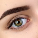 - close up view beautiful brown female eye perfect crcdc52f336 size12.12mb 4608x3456 - Home