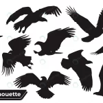 collection bird eagle silhouettes different posit crcc78a1415 size1.42mb - title:Home - اورچین فایل - format: - sku: - keywords:وکتور,موکاپ,افکت متنی,پروژه افترافکت p_id:63922