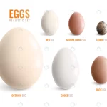 colored realistic eggs icon set with eggs of ostr crcfb581a59 size2.33mb - title:Home - اورچین فایل - format: - sku: - keywords:وکتور,موکاپ,افکت متنی,پروژه افترافکت p_id:63922
