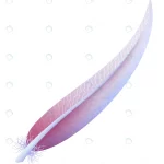 colorful feather curved pastel quill cartoon styl crc5f8b395f size3.33mb 1 - title:Home - اورچین فایل - format: - sku: - keywords:وکتور,موکاپ,افکت متنی,پروژه افترافکت p_id:63922