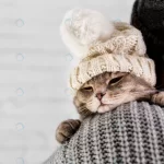 copy space cute cat wearinf fur cap winter crc01fff0e6 size10.23mb 5760x3840 1 - title:Home - اورچین فایل - format: - sku: - keywords:وکتور,موکاپ,افکت متنی,پروژه افترافکت p_id:63922