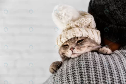 copy space cute cat wearinf fur cap winter crc01fff0e6 size10.23mb 5760x3840 1 - title:graphic home - اورچین فایل - format: - sku: - keywords: p_id:353984