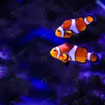 coral sea fish rnd248 frp12633726 - title:Home - اورچین فایل - format: - sku: - keywords:وکتور,موکاپ,افکت متنی,پروژه افترافکت p_id:63922