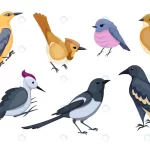 cute small cartoon birds illustration crcbdca8949 size1.42mb - title:Home - اورچین فایل - format: - sku: - keywords:وکتور,موکاپ,افکت متنی,پروژه افترافکت p_id:63922