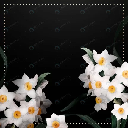 daffodil border frame vector black background crc69a6cede size15.04mb - title:graphic home - اورچین فایل - format: - sku: - keywords: p_id:353984