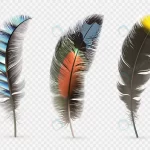 detailed colorful feathers set crc40e56109 size7.17mb 1 - title:Home - اورچین فایل - format: - sku: - keywords:وکتور,موکاپ,افکت متنی,پروژه افترافکت p_id:63922