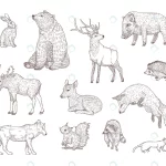 different forest animals engraved illustrations s crcb4ce5529 size5.83mb - title:Home - اورچین فایل - format: - sku: - keywords:وکتور,موکاپ,افکت متنی,پروژه افترافکت p_id:63922