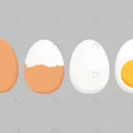 egg vector isolated white background set boiled e crcd227b351 size1.40mb - title:Home - اورچین فایل - format: - sku: - keywords:وکتور,موکاپ,افکت متنی,پروژه افترافکت p_id:63922