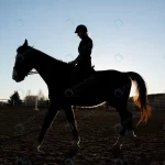 elegant horse silhouette against dawn sky crc060e4c19 size13.18mb 7999x5333 - title:Home - اورچین فایل - format: - sku: - keywords:وکتور,موکاپ,افکت متنی,پروژه افترافکت p_id:63922