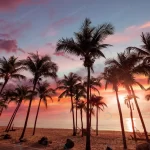 exotic tropical beach landscape background wallpa crc60f5ee3b size16.67mb 6000x4000 - title:Home - اورچین فایل - format: - sku: - keywords:وکتور,موکاپ,افکت متنی,پروژه افترافکت p_id:63922