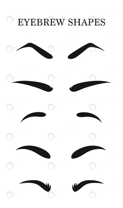 eyebrows shapes set various types eyebrows makeup rnd849 frp31015192 - title:graphic home - اورچین فایل - format: - sku: - keywords: p_id:353984