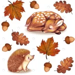 fall watercolor leaves fawn hedgehog acorn collect rnd355 frp5476887 - title:Home - اورچین فایل - format: - sku: - keywords:وکتور,موکاپ,افکت متنی,پروژه افترافکت p_id:63922