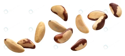 falling brazil nuts isolated white background wit crc177b141a size3.99mb 6000x2679 - title:graphic home - اورچین فایل - format: - sku: - keywords: p_id:353984