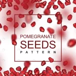 falling pomegranate seeds pattern crc83b704b8 size16.07mb - title:Home - اورچین فایل - format: - sku: - keywords:وکتور,موکاپ,افکت متنی,پروژه افترافکت p_id:63922