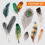 feathers realistic set crca1990507 size13.51mb 1 - title:Home - اورچین فایل - format: - sku: - keywords:وکتور,موکاپ,افکت متنی,پروژه افترافکت p_id:63922