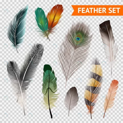 feathers realistic set crca1990507 size13.51mb 1 - title:graphic home - اورچین فایل - format: - sku: - keywords: p_id:353984