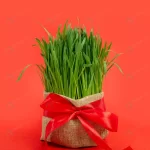 festive table honor navruz wheat with red ribbon crcfd995c81 size7.37mb 3448x4592 - title:Home - اورچین فایل - format: - sku: - keywords:وکتور,موکاپ,افکت متنی,پروژه افترافکت p_id:63922