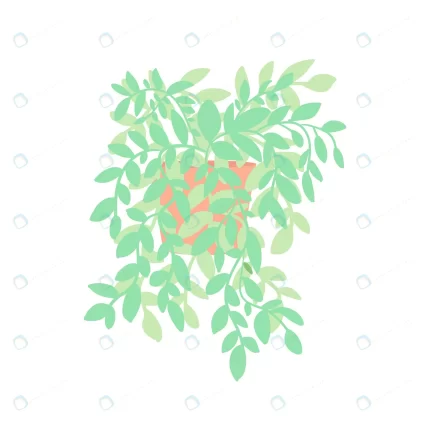 ficus rubber plant with leaves hanging down vector rnd163 frp31527897 - title:graphic home - اورچین فایل - format: - sku: - keywords: p_id:353984