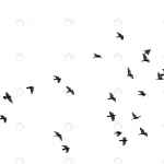 flocks flying pigeons isolated white clipping pat crc582e6d4e size0.59mb 5472x3648 - title:Home - اورچین فایل - format: - sku: - keywords:وکتور,موکاپ,افکت متنی,پروژه افترافکت p_id:63922