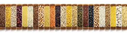 food collage cereals grains seeds top view crc387b3bb5 size12.64mb 7368x2000 - title:graphic home - اورچین فایل - format: - sku: - keywords: p_id:353984