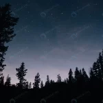 forest starry sky night crc2d47c75f size29.79mb 7952x5304 1 - title:Home - اورچین فایل - format: - sku: - keywords:وکتور,موکاپ,افکت متنی,پروژه افترافکت p_id:63922