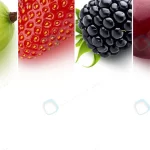 fresh berries berry close up panoramic collage crcb4fe895a size4.18mb 6118x2000 1 - title:Home - اورچین فایل - format: - sku: - keywords:وکتور,موکاپ,افکت متنی,پروژه افترافکت p_id:63922