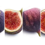 - fresh figs isolated white background top view crc369d7a14 size6.04mb 6393x2000 1 - Home