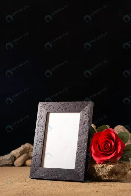 front view empty picture frame with red flower st crc23693122 size10.05mb 3737x5600 - title:graphic home - اورچین فایل - format: - sku: - keywords: p_id:353984