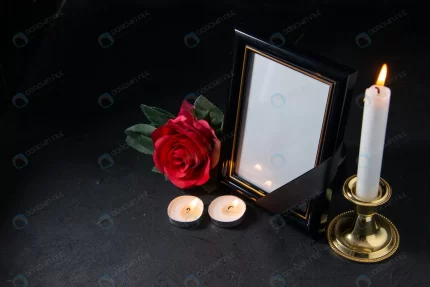 front view picture frame with red flower black crc98ccf470 size11.02mb 5600x3737 - title:graphic home - اورچین فایل - format: - sku: - keywords: p_id:353984