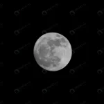 full moon dark night 2 crc59316c73 size1.60mb 8000x6000 - title:Home - اورچین فایل - format: - sku: - keywords:وکتور,موکاپ,افکت متنی,پروژه افترافکت p_id:63922