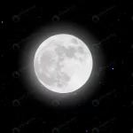 full moon space stars with wood supermoon crc8adb077d size1.51mb 5472x3648 - title:Home - اورچین فایل - format: - sku: - keywords:وکتور,موکاپ,افکت متنی,پروژه افترافکت p_id:63922
