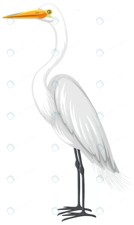 great egret cartoon style white background crc74316397 size1.21mb - title:graphic home - اورچین فایل - format: - sku: - keywords: p_id:353984