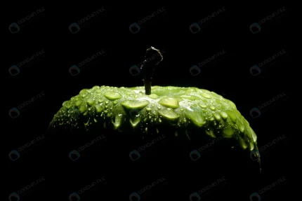 green apple with water drops black crc69a2b684 size3.61mb 6720x4480 - title:graphic home - اورچین فایل - format: - sku: - keywords: p_id:353984