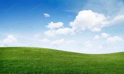 green grass hill blue sky crc21241e86 size26.09mb 7000x4195 - title:graphic home - اورچین فایل - format: - sku: - keywords: p_id:353984