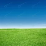 green grass texture with blang copyspace against crc6e9cdea8 size23.89mb 6720x4480 - title:Home - اورچین فایل - format: - sku: - keywords:وکتور,موکاپ,افکت متنی,پروژه افترافکت p_id:63922