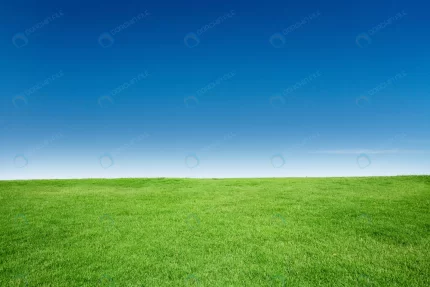 green grass texture with blang copyspace against crc6e9cdea8 size23.89mb 6720x4480 - title:graphic home - اورچین فایل - format: - sku: - keywords: p_id:353984