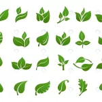 green leaves logo plant nature eco garden stylized rnd449 frp7396756 - title:Home - اورچین فایل - format: - sku: - keywords:وکتور,موکاپ,افکت متنی,پروژه افترافکت p_id:63922