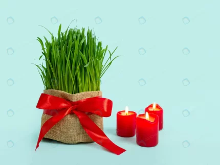 green wheat sprouts nowruz holiday traditional ce crc67b50903 size5.63mb 4592x3448 - title:graphic home - اورچین فایل - format: - sku: - keywords: p_id:353984