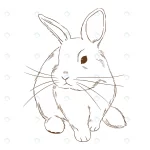hand drawn bunny outline illustration crcd30b920d size1.11mb - title:Home - اورچین فایل - format: - sku: - keywords:وکتور,موکاپ,افکت متنی,پروژه افترافکت p_id:63922