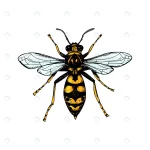hand drawn colored wasp crcf402b39c size1.85mb - title:Home - اورچین فایل - format: - sku: - keywords:وکتور,موکاپ,افکت متنی,پروژه افترافکت p_id:63922