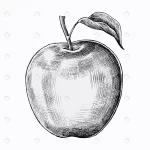 hand drawn fresh apple vector crc5040c55a size13.52mb 1 - title:Home - اورچین فایل - format: - sku: - keywords:وکتور,موکاپ,افکت متنی,پروژه افترافکت p_id:63922