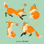 - hand drawn wild fox collection crcb7b3ae6b size0.87mb - Home