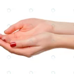 hands take gesture open palm holding white s isol crc6b919028 size1.87mb 4814x3210 - title:Home - اورچین فایل - format: - sku: - keywords:وکتور,موکاپ,افکت متنی,پروژه افترافکت p_id:63922