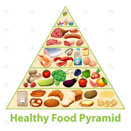 healthy food pyramid chart crc31e18869 size8.05mb - title:graphic home - اورچین فایل - format: - sku: - keywords: p_id:353984