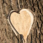 hearth shaped tree bark rnd885 frp2350398 - title:Home - اورچین فایل - format: - sku: - keywords:وکتور,موکاپ,افکت متنی,پروژه افترافکت p_id:63922