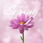 hello spring banner with realistic pink chrysanth crcdce65748 size9.15mb - title:Home - اورچین فایل - format: - sku: - keywords:وکتور,موکاپ,افکت متنی,پروژه افترافکت p_id:63922