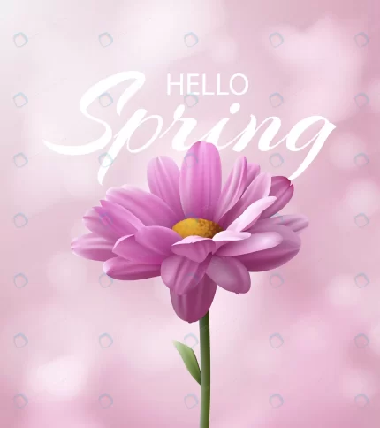 hello spring banner with realistic pink chrysanth crcdce65748 size9.15mb - title:graphic home - اورچین فایل - format: - sku: - keywords: p_id:353984