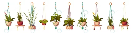 house plants hanging pots isolated flowers set.jp crcf64613da size2.96mb - title:graphic home - اورچین فایل - format: - sku: - keywords: p_id:353984