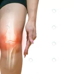 human leg osteoarthritis inflammation bone joints crc381e939f size5.01mb 5584x3549 - title:Home - اورچین فایل - format: - sku: - keywords:وکتور,موکاپ,افکت متنی,پروژه افترافکت p_id:63922