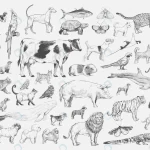 illustration drawing style animal collection crcab8ab015 size27.97mb - title:Home - اورچین فایل - format: - sku: - keywords:وکتور,موکاپ,افکت متنی,پروژه افترافکت p_id:63922
